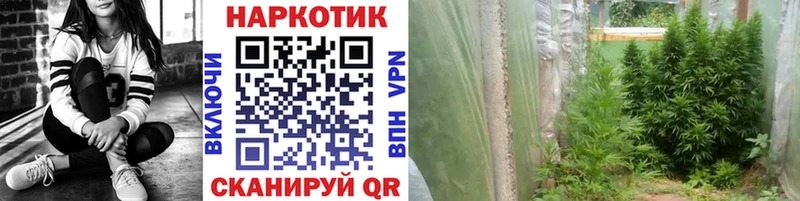 Виды наркотиков купить Полтавская Псилоцибиновые грибы  Лсд 25  ГАШИШ  Каннабис  Cocaine 