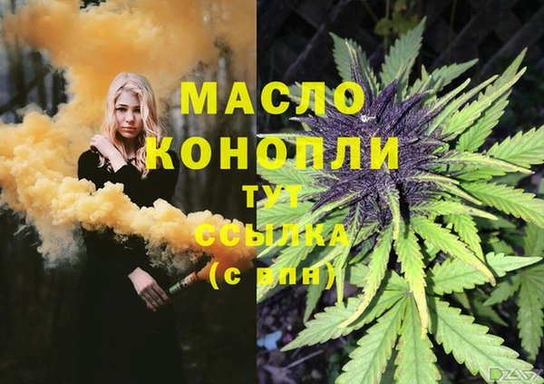 соль ск Алзамай