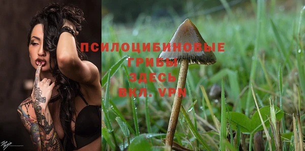 mix Абинск